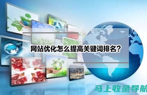 SEO新手福音：信阳SEO入门全解析